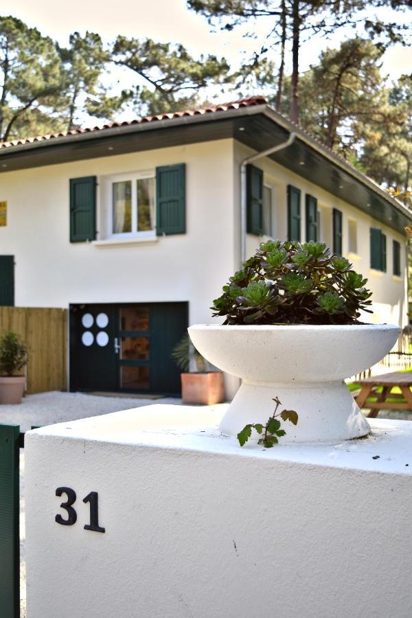 Apartment Nid De Ruben, Naou Hossegor Wifi Netflix Sauna Soorts-Hossegor